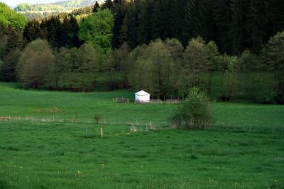 dsc06693_1.jpg