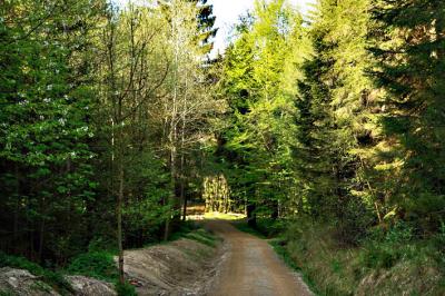 dsc06704_1.jpg
