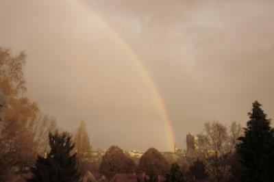 regenbogen_0611.jpg