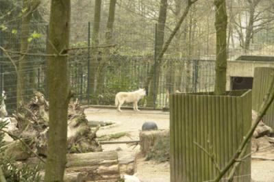 zoo_wuppertal_39.jpg