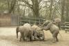 zoo_wuppertal_45_t1.jpg