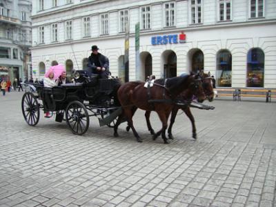 pict0391_kopie.jpg