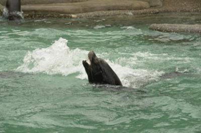 zoo_wuppertal_10.jpg