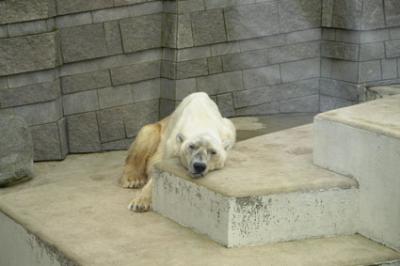 zoo_wuppertal_15.jpg