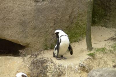 zoo_wuppertal_17.jpg