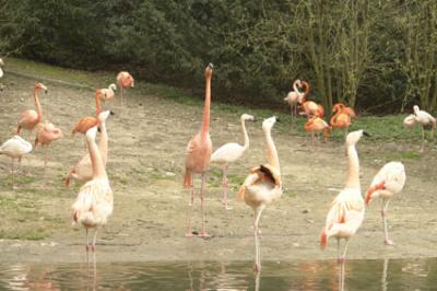 zoo_wuppertal_1.jpg
