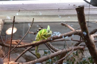 zoo_wuppertal_22.jpg