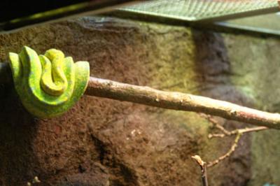 zoo_wuppertal_23.jpg