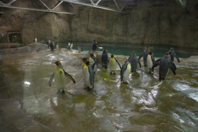 zoo_wuppertal_24.jpg
