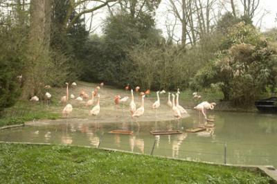 zoo_wuppertal_2.jpg