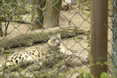 zoo_wuppertal_34.jpg