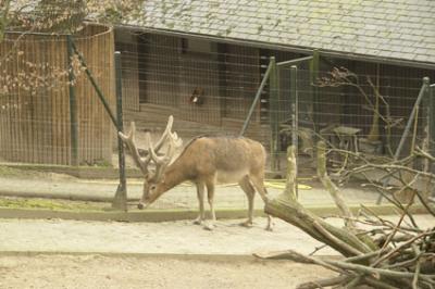 zoo_wuppertal_37.jpg
