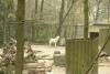 zoo_wuppertal_40_t1.jpg