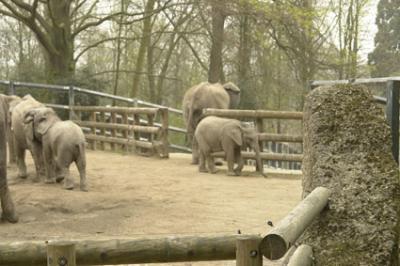 zoo_wuppertal_42.jpg