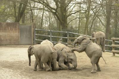 zoo_wuppertal_45.jpg
