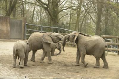 zoo_wuppertal_48.jpg