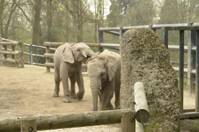 zoo_wuppertal_49.jpg