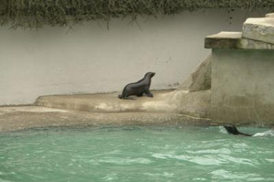 zoo_wuppertal_4.jpg