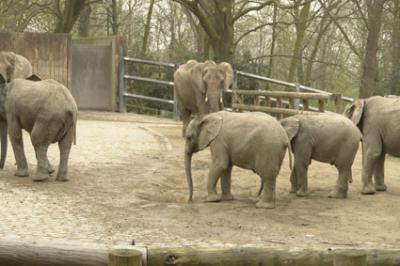 zoo_wuppertal_52.jpg