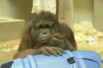 zoo_wuppertal_53.jpg