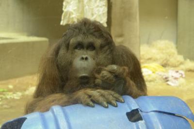 zoo_wuppertal_54.jpg