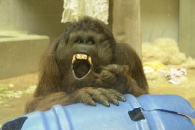 zoo_wuppertal_55.jpg
