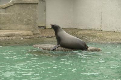 zoo_wuppertal_5.jpg