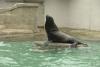 zoo_wuppertal_6_t1.jpg