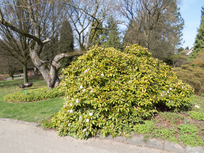 img_1635_1.png